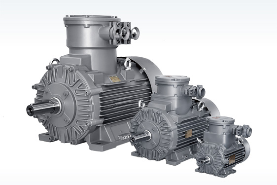 1MB1/5系列低壓隔爆電機(jī)